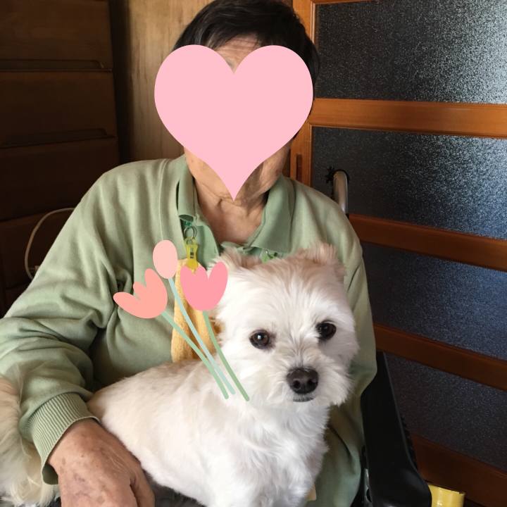 E075b3b9 4565 42f6 9e67 c8004b656f7d 1526957366870