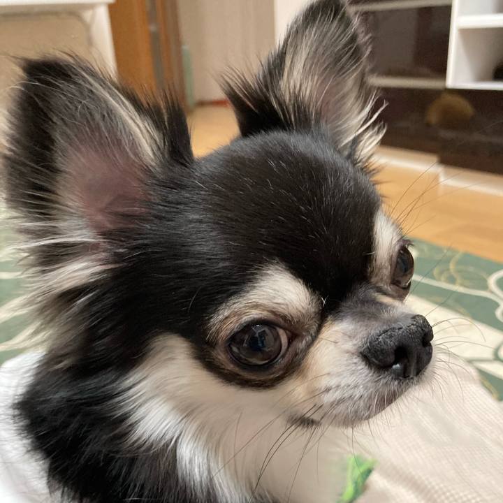 E075be2d be7b 4494 ac3b 49d2f37dbe43 1648390782717