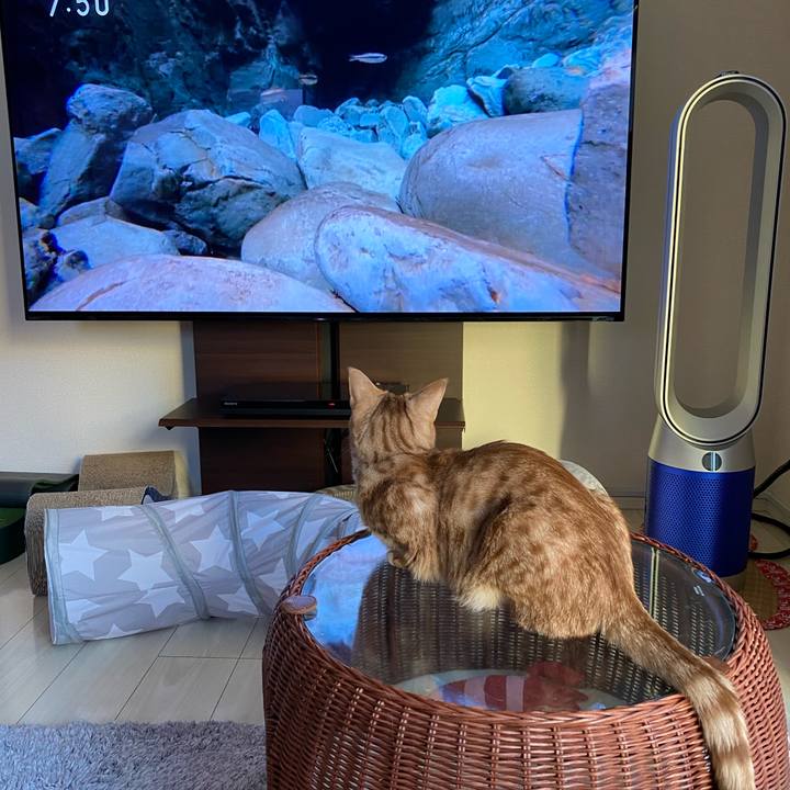 E075c1e0 7f89 424e bf8c 3d60aa451efa 1644101620423