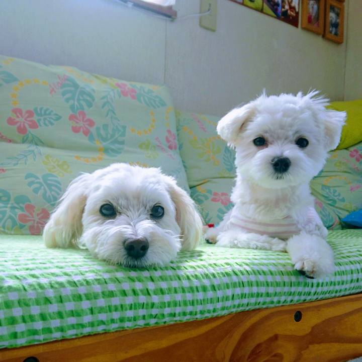 E075f28e 1616 444f 9694 e00c66355d42 1524444165002