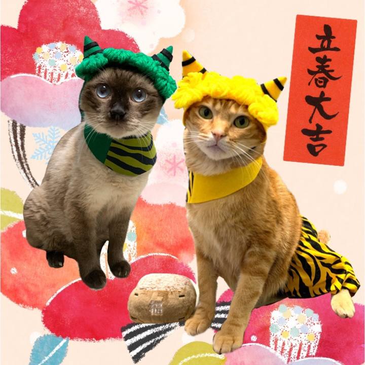 E0760e12 cfe1 4d47 b3ed 475f8cb28b02 1612261773934