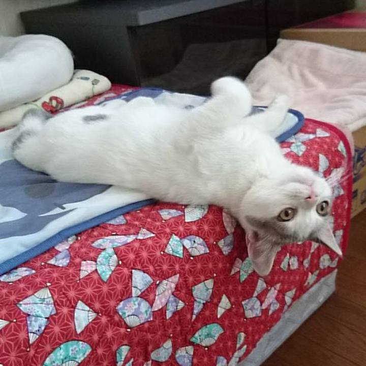 E0760e53 1cfa 40c8 802e b79774cfdea0 1531885650830