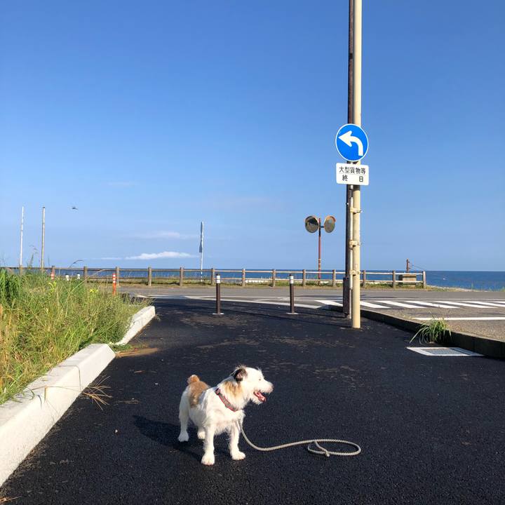 E0761ee9 5800 42a5 9177 63dfb3531a9d 1599606554427