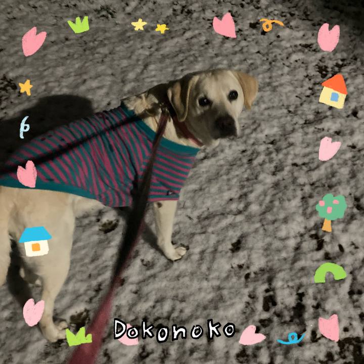 E0766440 b596 43ed a292 6267ce61ed12 1741441206848