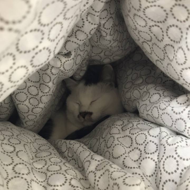 E076824f 3f02 4a72 b671 e53913dab011 1554262468470