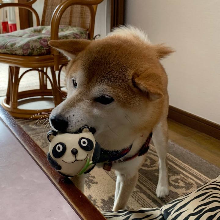 E07686ee e96d 45da bc4f 2cbfdb381cd5 1572426775938