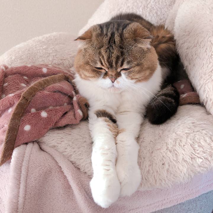 E07687f1 dab4 4abd 9902 5d44b191eee1 1583186562918