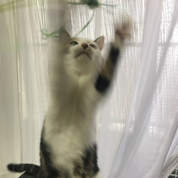 E076a762 54e2 4ec8 a3d8 1537604b1424 1571543730631