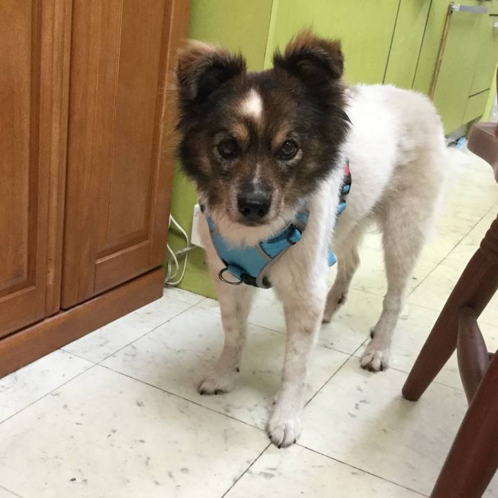 E076ae5c 5e06 4506 b80a ce5400157506 1599796937543