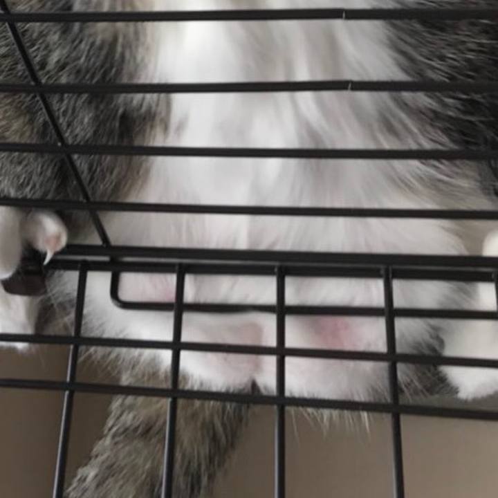 E076ba4e 7410 4b8f 95e5 5d644f64a1fc 1524443041396