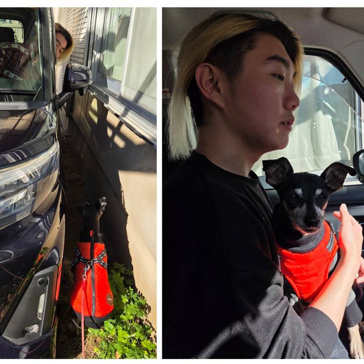 E076be60 2119 452c b2a9 c228c3b857b5 1767583518032