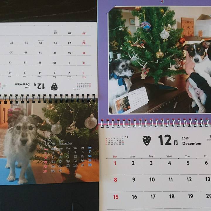 E076ef91 36de 42d7 ac4f ba82ef8bf853 1575168058376