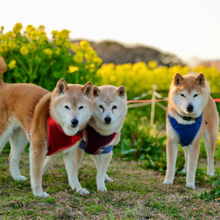 E076fa11 9619 4db8 8ee4 c62e16743165 1772292211249