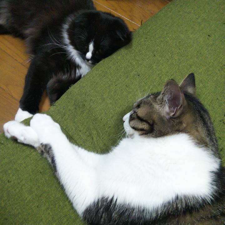 E076ff0b 2755 407c 99af 12840fef6586 1648470077638