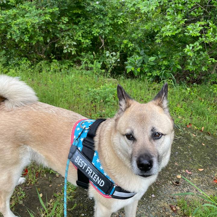 E0771c4d 71f9 431f b5aa 0ca422045bd2 1713698510068