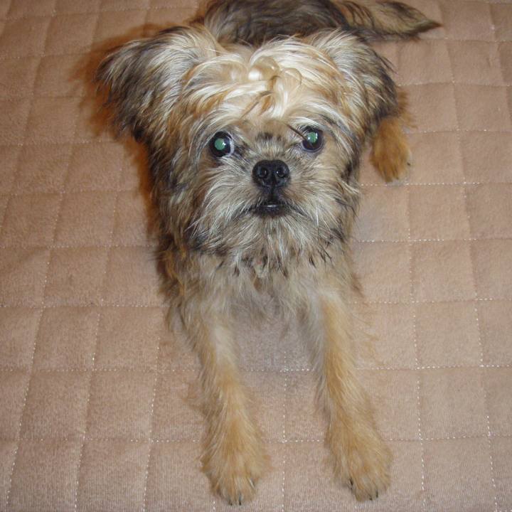 E0775331 94e1 4d59 9d5a 154e5190a3c4 1623419045584