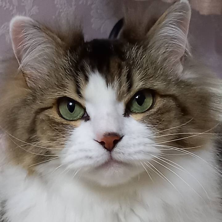 E0776132 3d59 4cc1 83e3 a2a91106d839 1616847166175