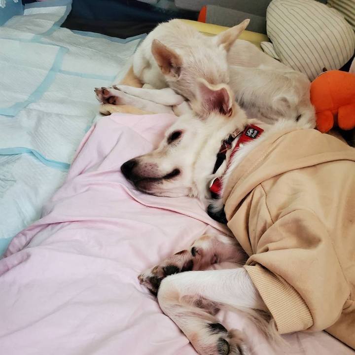 E0778396 659f 4e8a a6af b551e0c02956 1762434267286