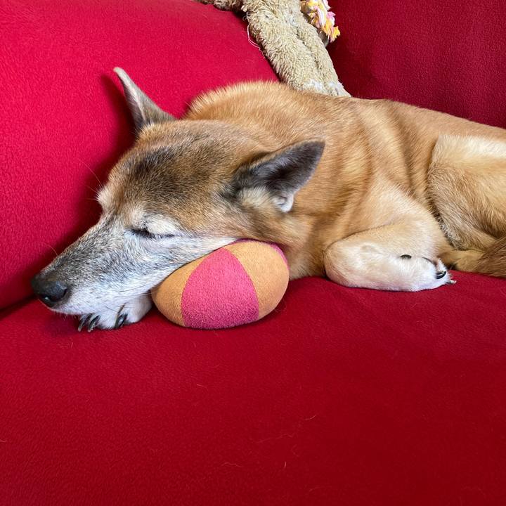 E0778daf 5bd6 40d2 9a60 07b62c41ec12 1762646768443