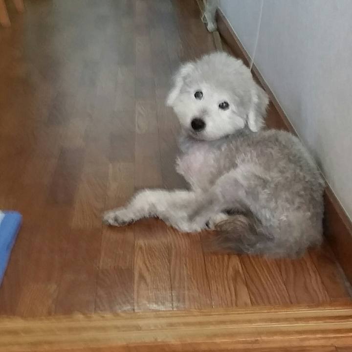 E077a322 ec13 4266 9f94 6dd904d847de 1622449516775