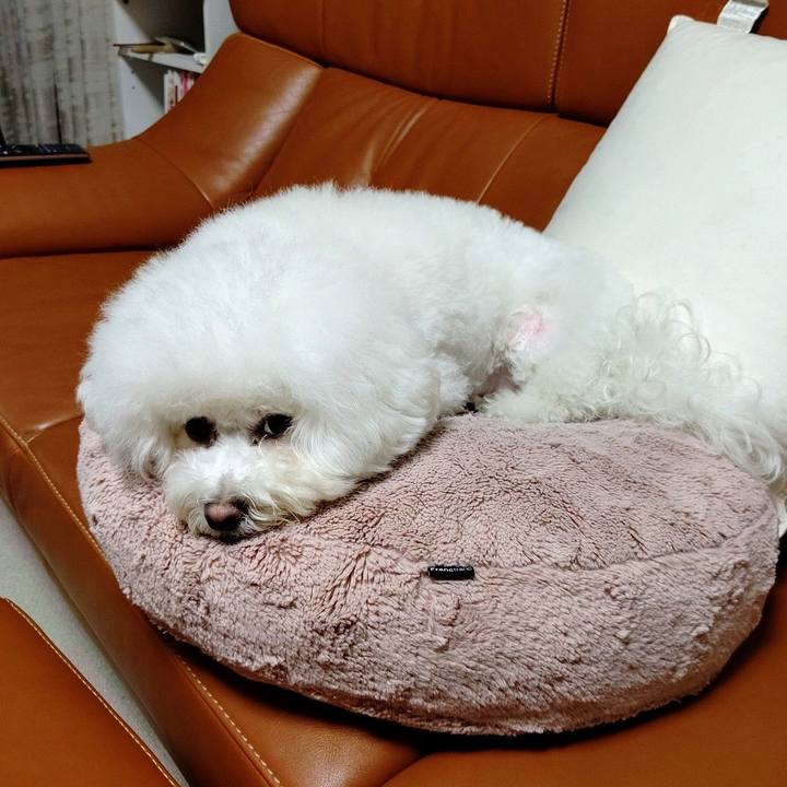 E077bd82 3923 4641 9abc b3eed768b218 1602299222060