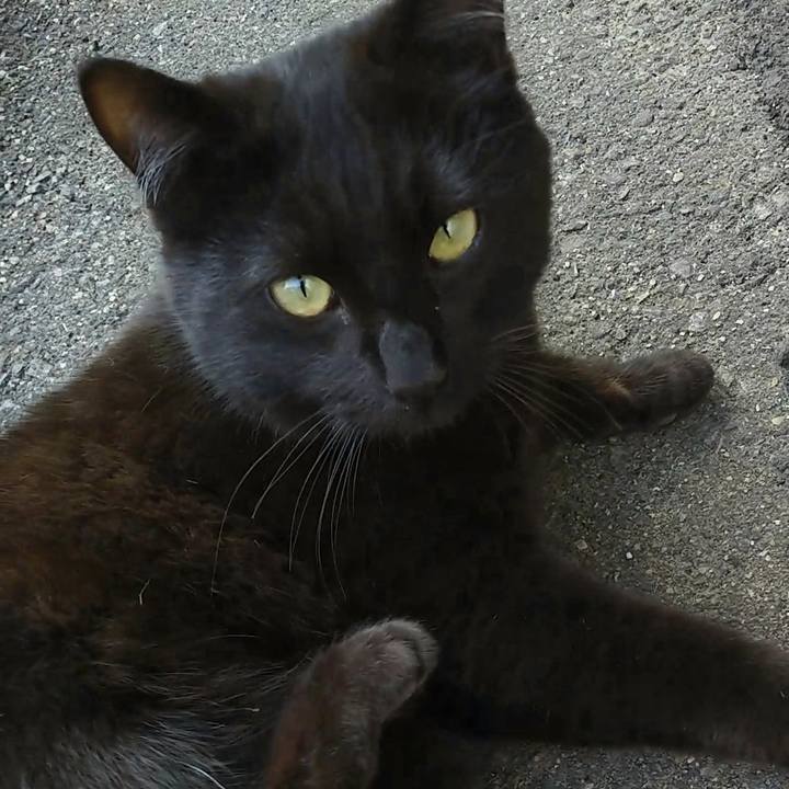 E077bedd 2330 4812 bac5 838174704de3 1557701805702