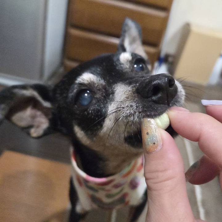 E077c69f 3060 4c1d aefa 4062cd9cd010 1758829177022