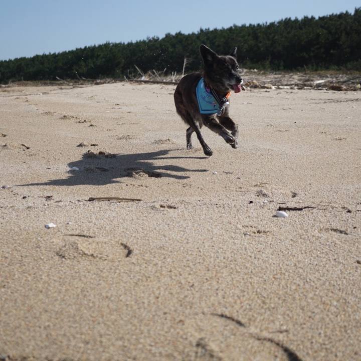 E077f6f2 8f82 4f31 a972 e2fb5cec6cca 1605183279000