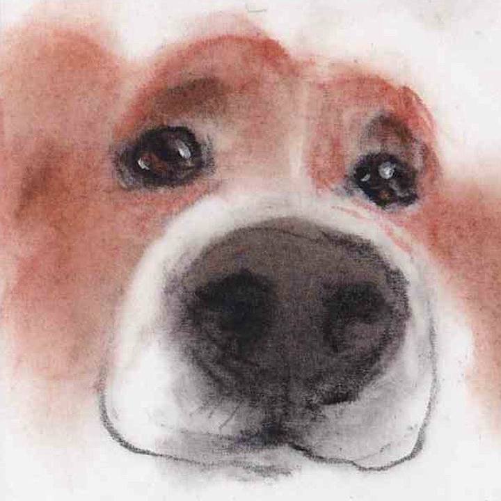 E077f6fb 55bf 49ac a066 d395b0c2ac02 1658221417625