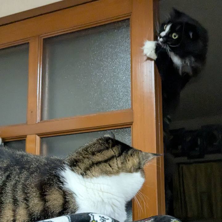 E078062d 5d56 4c75 9c63 9910ad98c60b 1743327297747