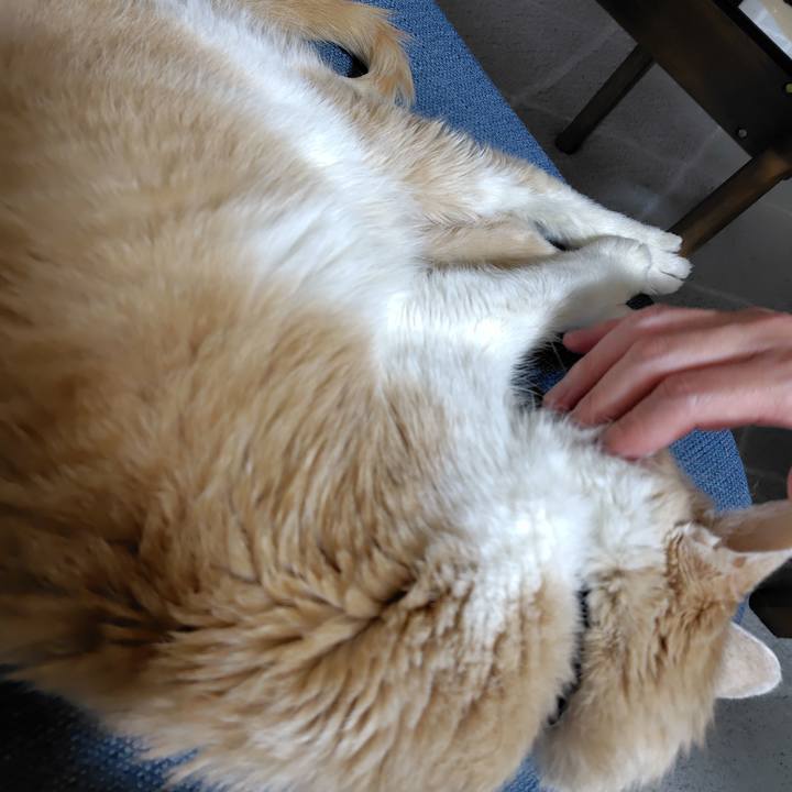 E078308d f3d0 4189 aaad 4b82f3232009 1735476089524