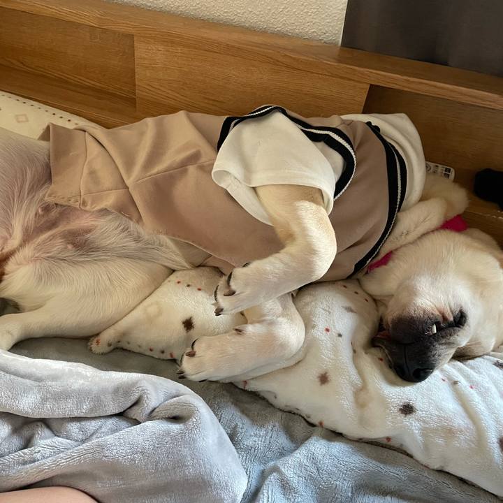 E07835d8 dc0d 4d33 899b 15153213c103 1634975846880