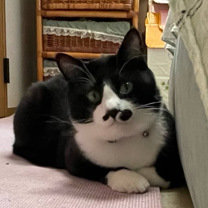 E07844f6 878a 46cb a834 029aff776886 1651637241150