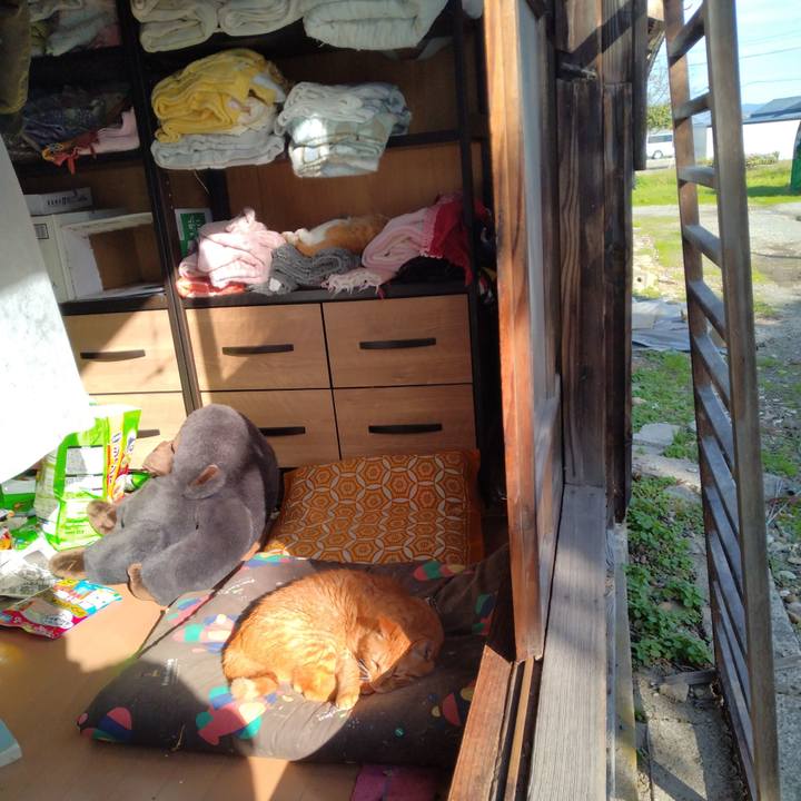 E0785421 6eee 41fb a9b4 6ce86d44595b 1730366235257