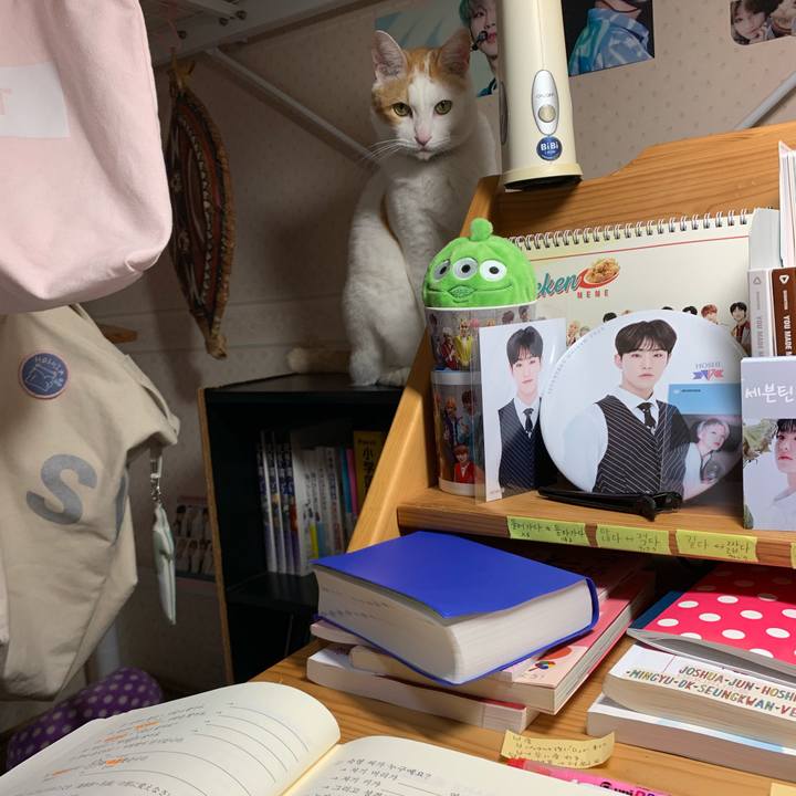 E078a741 cc5c 4f67 a034 ed43b127aaf6 1566912724162