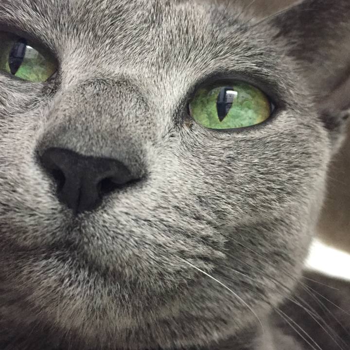 E078d9c8 7bf3 46c8 bea7 ec9b4beeebb6 1510399428566