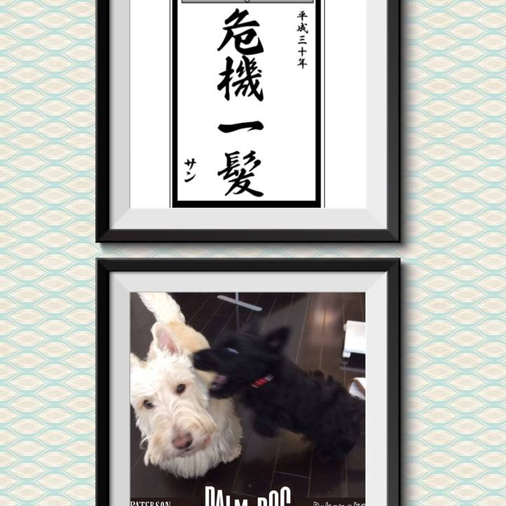 E07905dc c5d8 4315 b862 ed4db323bcdf 1514734448726