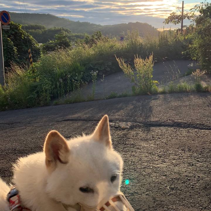 E07914bc be57 49bc 88e9 82573488a013 1562028448865