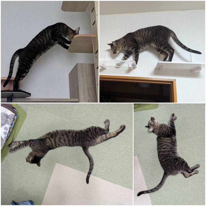 E0793c5c 2c87 463a 8b59 932c1b230a5a 1740362524043