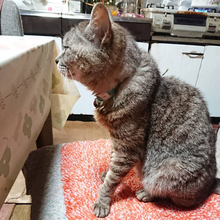 E079500f 090d 4c89 9c32 ac6c01f013cc 1563881228142