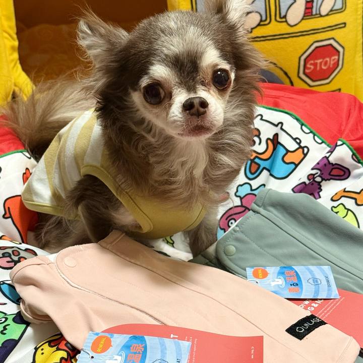 E0799bc7 fc98 4017 b437 78710c159f50 1734608340091