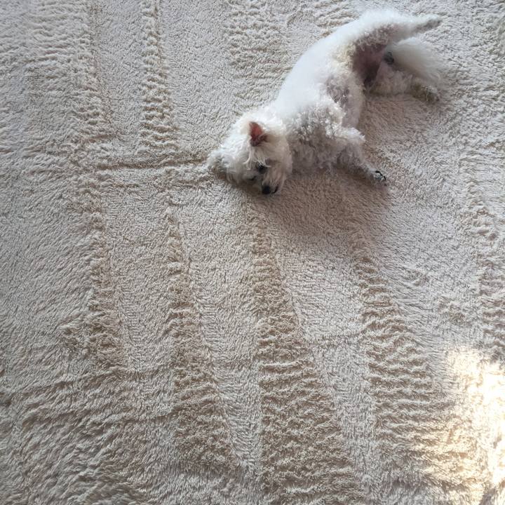 E079bcf3 f207 4c9e b190 cb0a68f72cdc 1543187458733