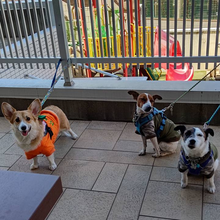 E079c86e 4db1 4f18 be89 fab01a5417a7 1645418955615