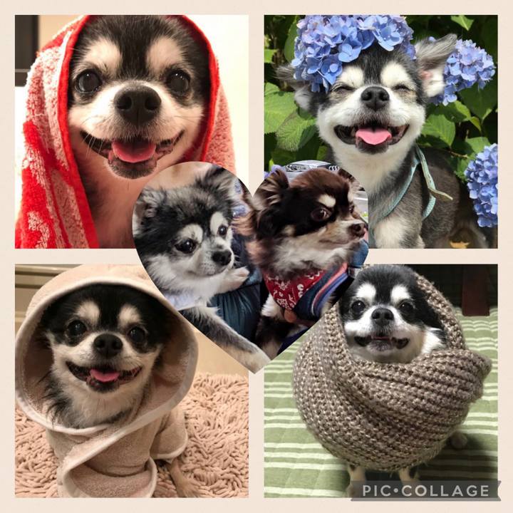 E079cb62 4298 4d18 866d 9b3af637a1a2 1615006732384