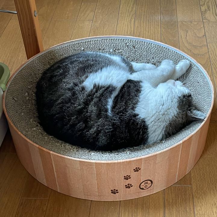 E079d7dd fbaf 4b97 bd3a c8833c8cf930 1683897728664