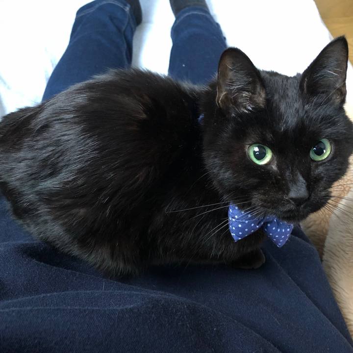 E079e343 00db 4f33 a5d8 6f95613e22f4 1566043609362