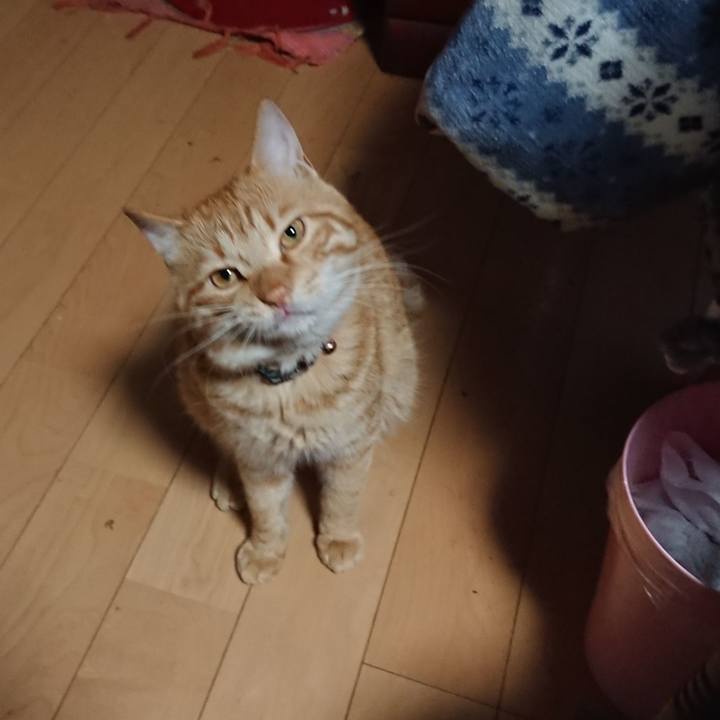 E079e3e0 6f90 4665 a53a 238f2ac5c5f8 1652781999929