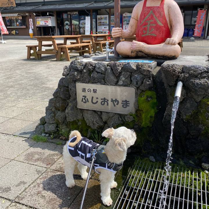 E07a1925 9b0a 4981 a0ce 42836bd82ba1 1621762611161