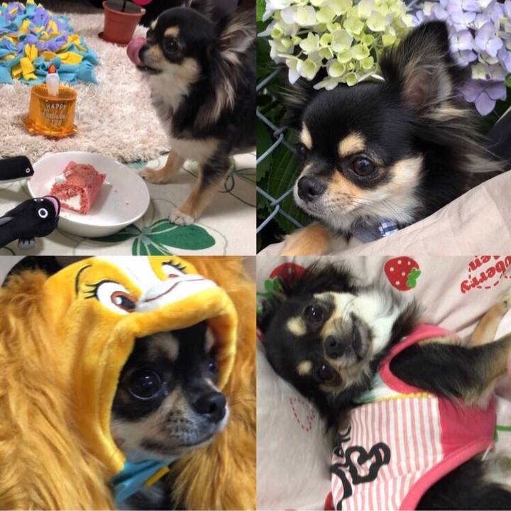 E07a2647 4667 4aff 832f 2c5a443b4cbb 1571211749267