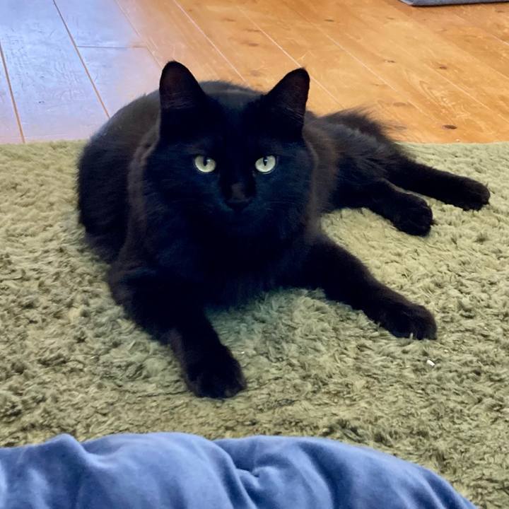 E07a39a1 37ce 461c 86d5 f33045b7858e 1759476116388